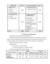 Verslo planas: fotografavimo paslaugos "Tavo Fotostudija" 16 puslapis