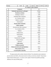 Verslo planas: fotografavimo paslaugos "Tavo Fotostudija" 17 puslapis