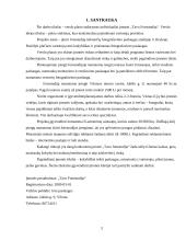 Verslo planas: fotografavimo paslaugos "Tavo Fotostudija" 3 puslapis