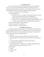 Verslo planas: fotografavimo paslaugos "Tavo Fotostudija" 5 puslapis