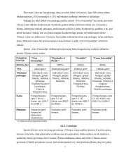 Verslo planas: fotografavimo paslaugos "Tavo Fotostudija" 7 puslapis