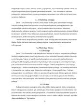 Verslo planas: fotografavimo paslaugos "Tavo Fotostudija" 8 puslapis