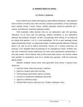 Verslo planas: IĮ "Peugeot" autocentras 12 puslapis