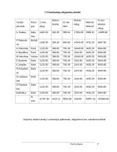 Verslo planas: IĮ "Peugeot" autocentras 16 puslapis