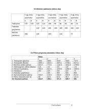 Verslo planas: IĮ "Peugeot" autocentras 20 puslapis