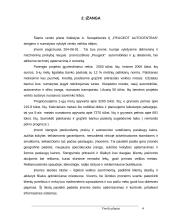 Verslo planas: IĮ "Peugeot" autocentras 3 puslapis