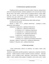 Verslo planas: IĮ "Peugeot" autocentras 8 puslapis