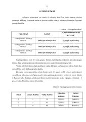 Verslo planas: IĮ "Privatus vaikų darželis" 13 puslapis