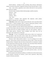 Verslo planas: IĮ "Privatus vaikų darželis" 10 puslapis