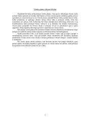 Verslo planas: informacinės technologijos UAB "Virdekas" 2 puslapis