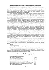 Verslo planas: informacinės technologijos UAB "Virdekas" 12 puslapis