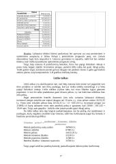 Verslo planas: informacinės technologijos UAB "Virdekas" 17 puslapis