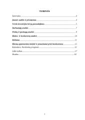 Verslo planas: informacinės technologijos UAB "Virdekas" 3 puslapis