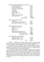 Verslo planas: informacinės technologijos UAB "Virdekas" 6 puslapis