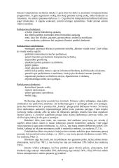 Verslo planas: informacinės technologijos UAB "Virdekas" 8 puslapis