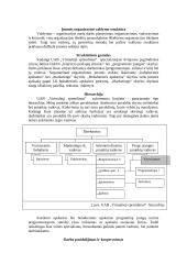 Verslo planas: interneto puslapių dizainas UAB "Virtualieji sprendimai" 3 puslapis