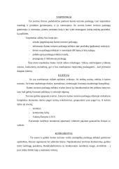 Verslo planas: kaimo turizmas 11 puslapis