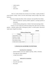 Verslo planas: kaimo turizmas 13 puslapis