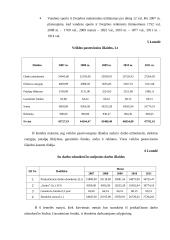 Verslo planas: kaimo turizmas 16 puslapis