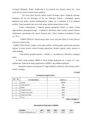 Verslo planas: kaimo turizmas 4 puslapis