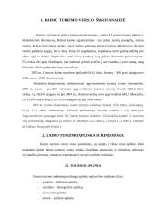 Verslo planas: kaimo turizmas 8 puslapis