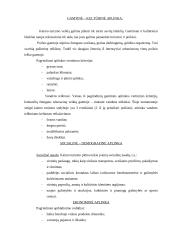 Verslo planas: kaimo turizmas 9 puslapis