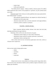 Verslo planas: kaimo turizmas 10 puslapis