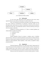 Verslo planas: kavinė UAB "Skanu" 11 puslapis