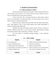 Verslo planas: kavinė UAB "Skanu" 12 puslapis