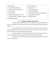 Verslo planas: kavinė UAB "Skanu" 13 puslapis