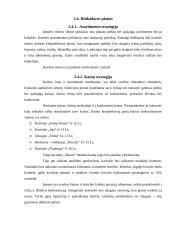 Verslo planas: kavinė UAB "Skanu" 6 puslapis