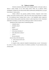 Verslo planas: kavinė UAB "Skanu" 9 puslapis