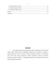Kompiuterinių tinklų sandara ir tipai 2 puslapis