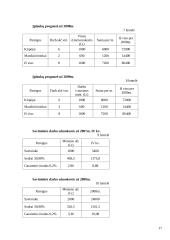 Verslo planas: kirpykla "Kleopatra" 11 puslapis