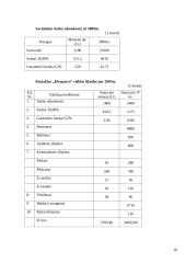 Verslo planas: kirpykla "Kleopatra" 12 puslapis