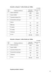 Verslo planas: kirpykla "Kleopatra" 13 puslapis