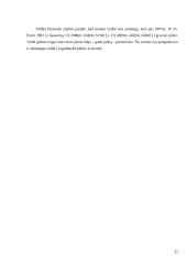 Verslo planas: kirpykla "Kleopatra" 16 puslapis