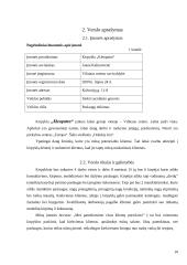 Verslo planas: kirpykla "Kleopatra" 4 puslapis