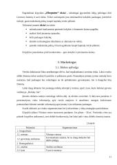 Verslo planas: kirpykla "Kleopatra" 5 puslapis