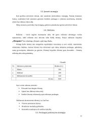 Verslo planas: kirpykla "Kleopatra" 7 puslapis