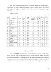 Verslo planas: kirpykla "Kleopatra" 9 puslapis