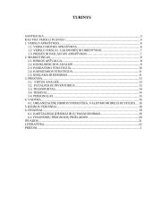 Verslo planas: knygynas IĮ "Žiburys"