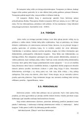 Verslo planas: knygynas IĮ "Žiburys" 13 puslapis