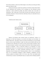 Verslo planas: knygynas IĮ "Žiburys" 15 puslapis