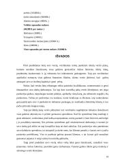 Verslo planas: knygynas IĮ "Žiburys" 19 puslapis