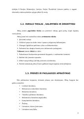 Verslo planas: knygynas IĮ "Žiburys" 6 puslapis