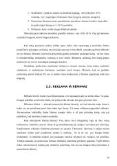 Verslo planas: knygynas IĮ "Žiburys" 10 puslapis