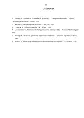 Verslo planas: krovinių pervežimas "Transrika" 19 puslapis