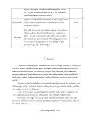 Verslo planas: medaus, bičių piko, bičių duonelės ir žiedadulkių gamyba "Bičiuolis" 12 puslapis