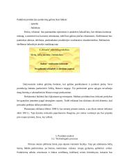 Verslo planas: medaus, bičių piko, bičių duonelės ir žiedadulkių gamyba "Bičiuolis" 13 puslapis